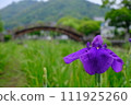 Tsukimi Bridge② 111925260