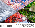 Spring summer autumn winter collage background image 111925529