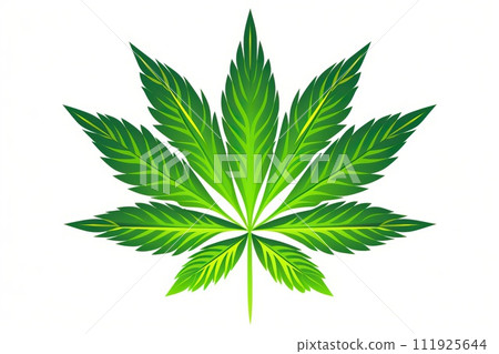 Illustration of a drawing of a marijuana leaf on a white background. 111925644