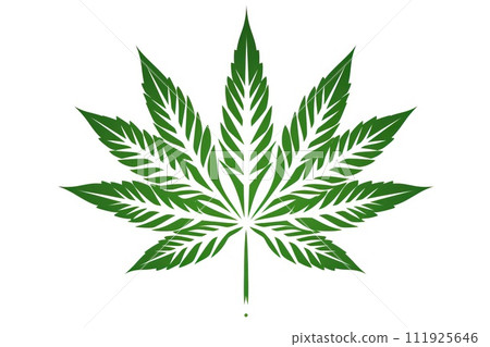 Illustration of a drawing of a marijuana leaf on a white background. Illustration of a drawing of a marijuana leaf on a white background. 111925646
