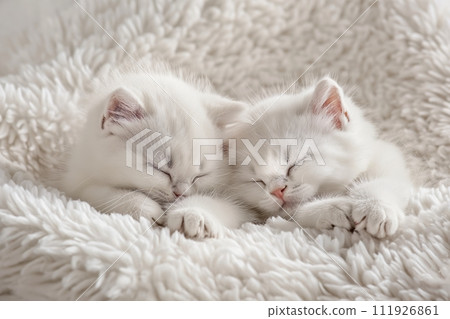 Two charming white kittens sleep together on a beige fluffy blanket in a bed 111926861