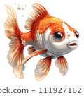 The image depicts a colorful fish with orange and blue fins, a white face, and brown around its eyes. It has a scared expression and is swimming in the water.  111927162