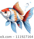 The image depicts a colorful fish with orange and blue fins, a white face, and brown around its eyes. It has a scared expression and is swimming in the water.  111927164