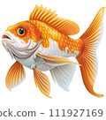 The image depicts a colorful fish with orange and blue fins, a white face, and brown around its eyes. It has a scared expression and is swimming in the water.  111927169