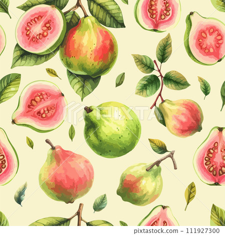 Guava with leaves seamless pattern. Vector watercolor exotic fruits background. 111927300