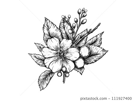 Boutonniere of wild rose flowers and berries Boutonniere of wild rose flowers and berries 111927400