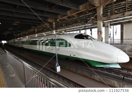 E2 series Shinkansen reproduction 200 series color 111927556