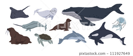 Sea animals. Ocean fauna, whale, orca, turtle, jellyfish and seal, hand drawn underwater animals flat vector illustration set. Wild nature aquatic animals collection Sea animals. Ocean fauna, whale, orca, turtle, jellyfish and seal, hand drawn underwater animals flat vector illustration set. Wild nature aquatic animals collection 111927649