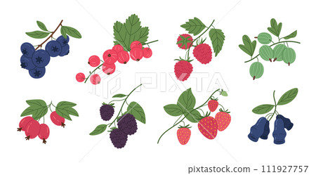 Berries set. Juicy forest berry, raspberry, strawberry, blueberry, gooseberry and red currant, wild edible fresh berries flat vector illustration set. Ripe delicious berries collection 111927757