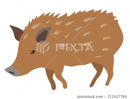 可愛的野豬 可愛的野豬 111927768