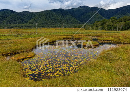 Ozegahara pond and Mt. Keizuru in early autumn 111928074