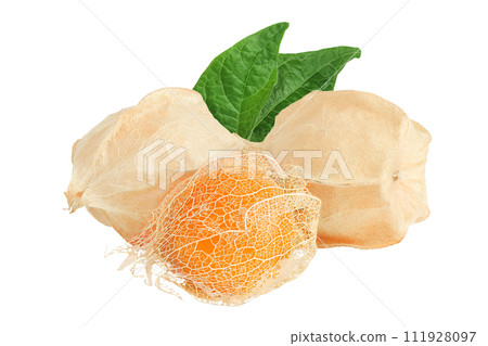 Cape gooseberry or physalis isolated on white background wit full depth of field Cape gooseberry or physalis isolated on white background wit full depth of field 111928097