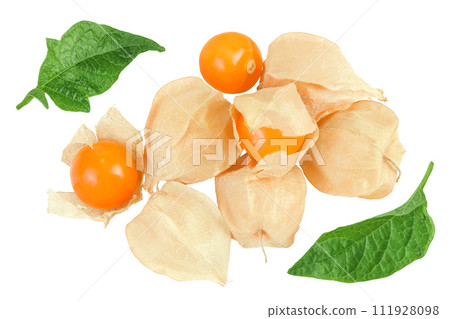 Cape gooseberry or physalis isolated on white background wit full depth of field. Top view. Flat lay 111928098