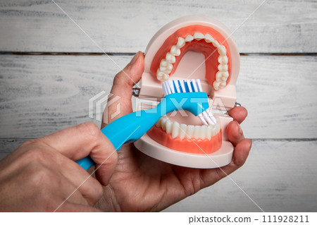 Teeth and gum health. Toothbrush near teeth model on wooden background Teeth and gum health. Toothbrush near teeth model on wooden background 111928211