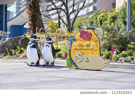 Shinagawa Aquarium Shinagawa Aquarium 111928263