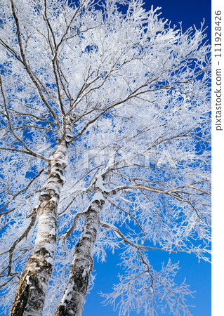 Rime and blue sky Rime and blue sky 111928426