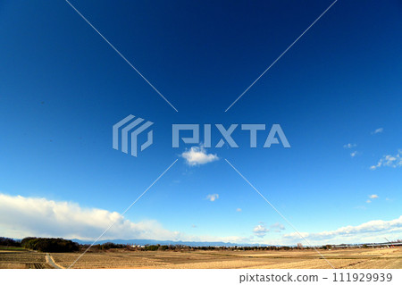 荒川寬闊河床的冬季景觀 荒川寬闊河床的冬季景觀 111929939