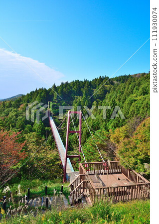 Autumn Sengendo Suspension Bridge (Niigata Prefecture) Autumn Sengendo Suspension Bridge (Niigata Prefecture) 111930074
