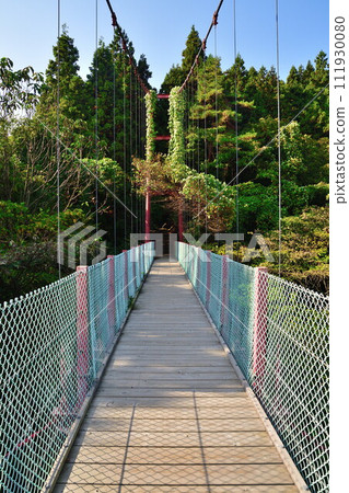 秋天的千間堂吊橋(新潟縣) 秋天的千間堂吊橋(新潟縣) 111930080