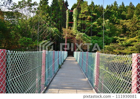 秋天的千間堂吊橋(新潟縣) 秋天的千間堂吊橋(新潟縣) 111930081