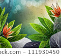 Tropical plant background material 111930450