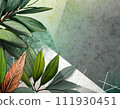 Botanical plant background material 111930451