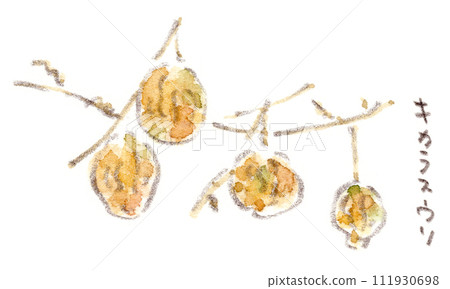 Winter plants, watercolor illustration of lots of hanging gourd fruit Winter plants, watercolor illustration of lots of hanging gourd fruit 111930698