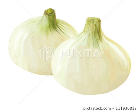 2 顆新洋蔥 ① 111930812