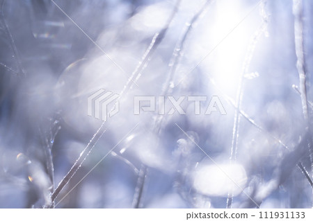 里山大原高原的雪景 111931133