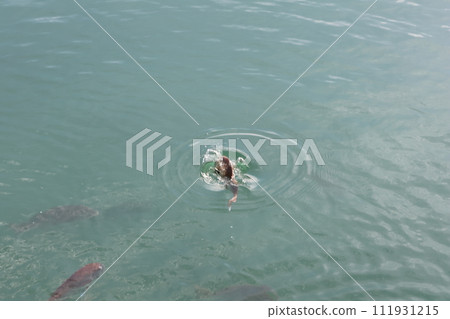Sea bream in the moat of Takamatsu Castle 111931215