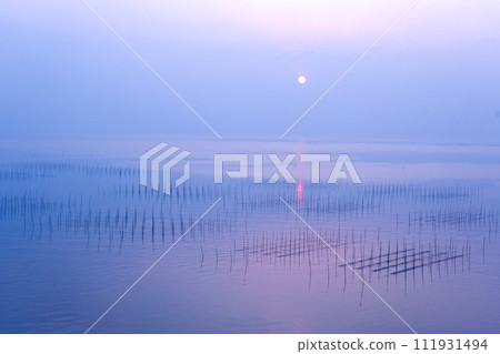 Seaweed cultivation landscape of Ariake Sea 111931494