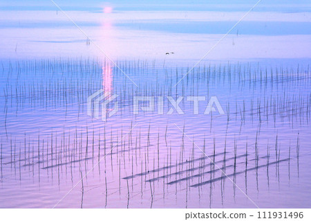 Seaweed cultivation landscape of Ariake Sea Seaweed cultivation landscape of Ariake Sea 111931496
