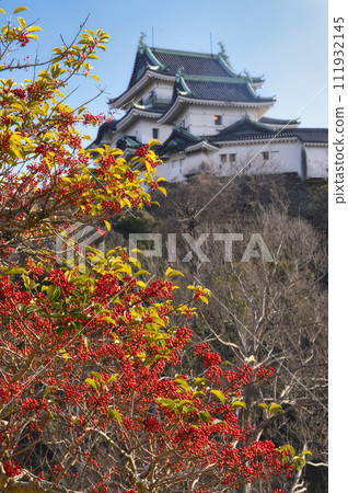 和歌山城麻糬樹 111932145