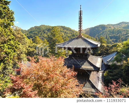 Hojo, Hyogo Prefecture, Hokkeyama Ichijoji Temple 111933071