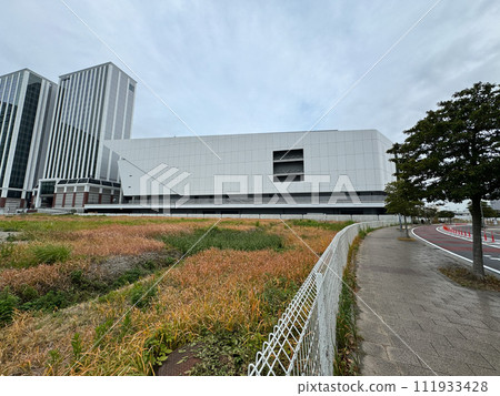 橫濱 K 競技場 111933428