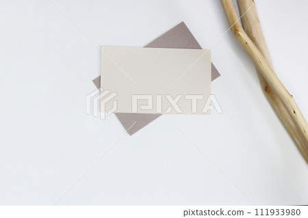 便箋紙和樹枝-自然圖像 111933980