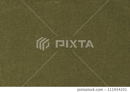 帆布面料紋理（橄欖色） 111934201
