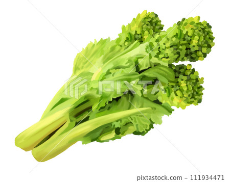 強姦花(可食用) 強姦花(可食用) 111934471