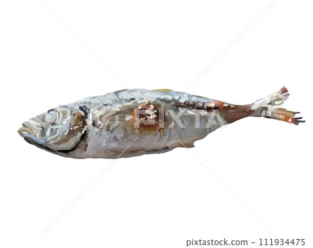 Salt-grilled horse mackerel (no plate) Salt-grilled horse mackerel (no plate) 111934475
