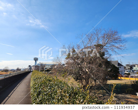 舊江戶川大橋 預計施工地點 2023 年 111934937