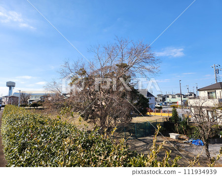 舊江戶川大橋 預計施工地點 2023 年 舊江戶川大橋 預計施工地點 2023 年 111934939