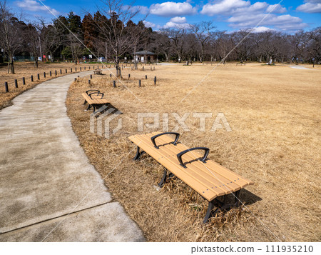 公園裡有隔間的長凳 公園裡有隔間的長凳 111935210