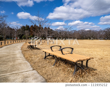 A bench with a partition in the park A bench with a partition in the park 111935212