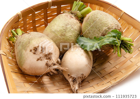 根莖類蔬菜白甜菜 111935723
