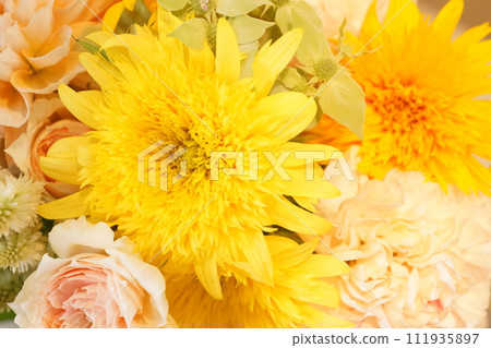 New species of sunflower 111935897