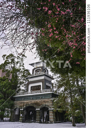 Oyama Shrine with a snowy view of plum blossoms 111936106