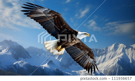 a hawk on a mountain 111936657
