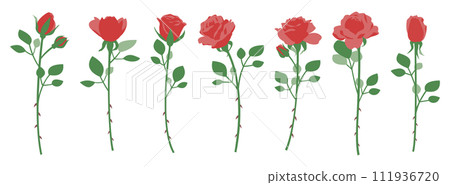 Single rose illustration set, variation set, icon, vector 111936720