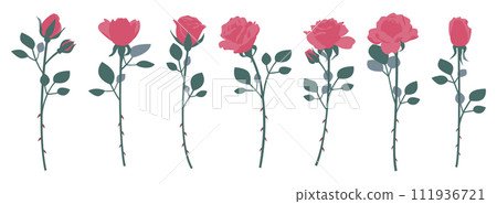 單朵玫瑰插圖集、變異集、圖示、向量 單朵玫瑰插圖集、變異集、圖示、向量 111936721