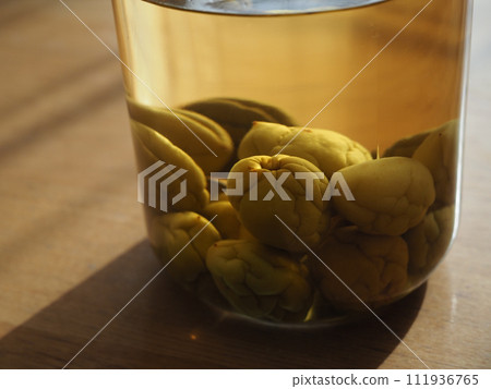 自製梅酒 自製梅酒 111936765